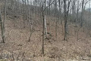 00 Brush Creek Rd, Bryson City, NC 28713 - Photo 21