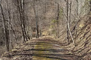 00 Brush Creek Rd, Bryson City, NC 28713 - Photo 13