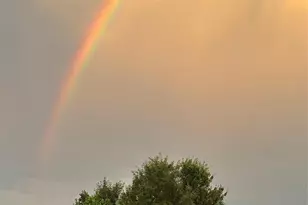 200 Duck Dr, Mars Hill, NC 28754 - Photo 45