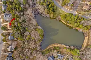 131 Morrison Hill Rd, Davidson, NC 28036 - Photo 45