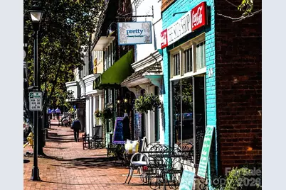 131 Morrison Hill Road, Davidson, NC 28036 - Photo 47