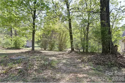 115 Park Vista Drive, Troutman, NC 28166 - Photo 43