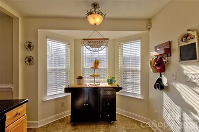 115 Park Vista Drive, Troutman, NC 28166 - Photo 13