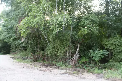 3609 E Nc 10 Highway, Claremont, NC 28610 - Photo 7