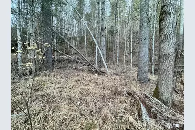 000 Moonshine Trail #19, Hendersonville, NC 28792 - Photo 3