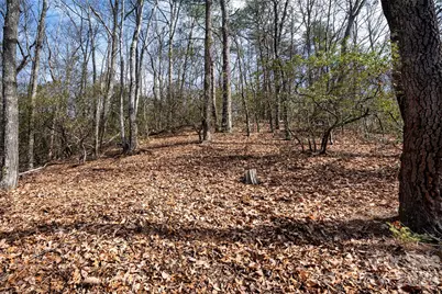 0 Rachel Ridge, Lake Lure, NC 28746 - Photo 11