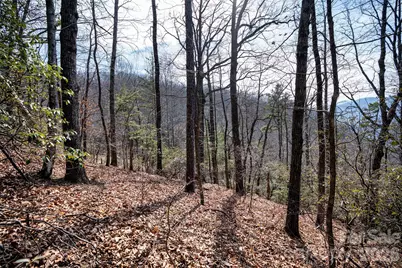 0 Rachel Ridge, Lake Lure, NC 28746 - Photo 17