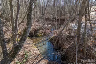 873 Ellenboro Henrietta Rd, Ellenboro, NC 28040 - Photo 47