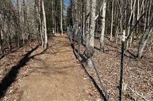 3343 Hollis Rd, Ellenboro, NC 28040 - Photo 45