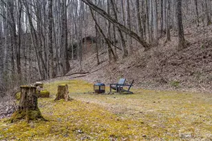 355 E View Rd, Sylva, NC 28779 - Photo 29