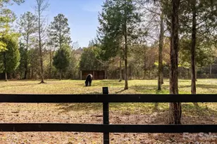 925 Hamilton Rd, Chester, SC 29706 - Photo 7