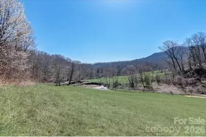 99999 Smokey Park Highway, Candler, NC 28715 - Photo 5