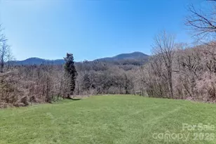 99999 Smokey Park Hwy, Candler, NC 28715 - Photo 1