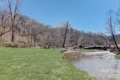 99999 Smokey Park Highway, Candler, NC 28715 - Photo 3