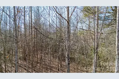 000 Eagles Nest Drive #8, Marion, NC 28752 - Photo 5