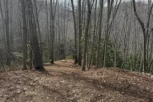 236 Down The Hl Rd, Sylva, NC 28779 - Photo 1