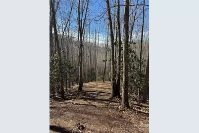 236 Down The Hill Road, Sylva, NC 28779 - Photo 3