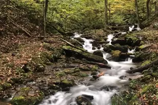 213 Hope Cir, Waynesville, NC 28786 - Photo 3