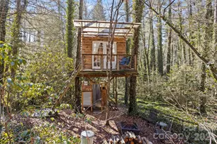 2525 Kanuga Rd, Hendersonville, NC 28739 - Photo 41