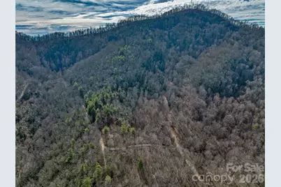 99999 High Top Mountain Road, Leicester, NC 28748 - Photo 5