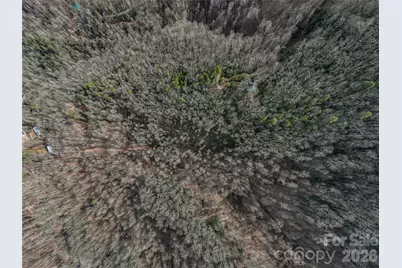 99999 High Top Mountain Road, Leicester, NC 28748 - Photo 15