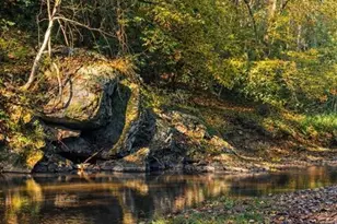 9 & 1 Old Mill Ln, Weaverville, NC 28787 - Photo 9