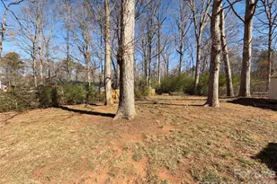 8524 Clear Meadow Ln, Charlotte, NC 28227 - Photo 7