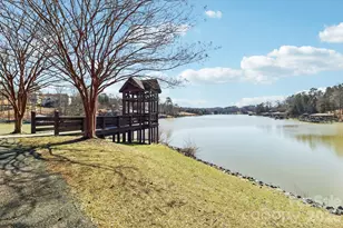 609 Sunfish Ln, Fort Mill, SC 29708 - Photo 43