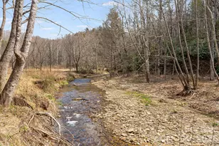 41 Gold Anchor Ln, Black Mountain, NC 28711 - Photo 31