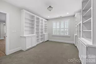 45528 Misty Bluff Dr, Charlotte, NC 28278 - Photo 29