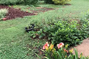 915 Onslow Dr, Greensboro, NC 27408 - Photo 41