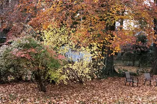 915 Onslow Dr, Greensboro, NC 27408 - Photo 37