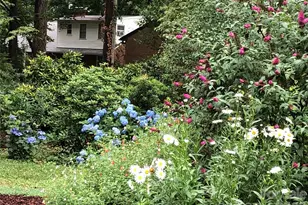 915 Onslow Dr, Greensboro, NC 27408 - Photo 39