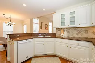 217 Horn Tassel Ct, Indian Trail, NC 28079 - Photo 17