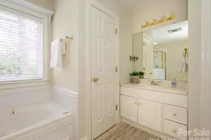 217 Horn Tassel Ct, Indian Trail, NC 28079 - Photo 23