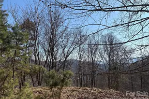 00 Brush Creek Rd, Bryson City, NC 28713 - Photo 5