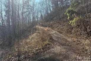 00 Brush Creek Rd, Bryson City, NC 28713 - Photo 21