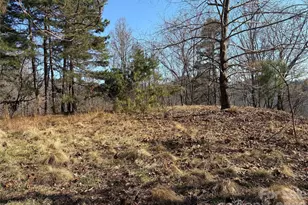 00 Brush Creek Rd, Bryson City, NC 28713 - Photo 3