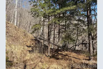 00 Brush Creek Road #41, Bryson City, NC 28713 - Photo 7