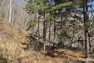 00 Brush Creek Rd, Bryson City, NC 28713 - Photo 7