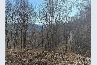 00 Brush Creek Road #41, Bryson City, NC 28713 - Photo 13