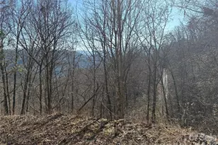 00 Brush Creek Rd, Bryson City, NC 28713 - Photo 13