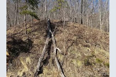 00 Brush Creek Road #41, Bryson City, NC 28713 - Photo 9