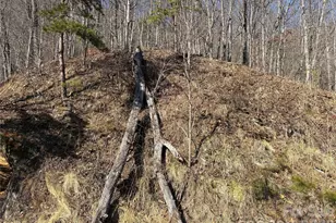 00 Brush Creek Rd, Bryson City, NC 28713 - Photo 9