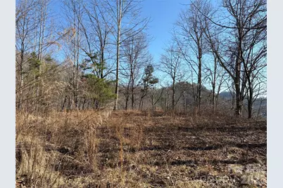 00 Brush Creek Road #41, Bryson City, NC 28713 - Photo 1