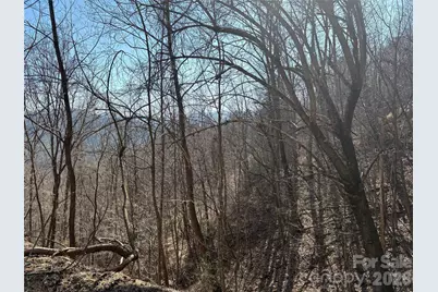 00 Brush Creek Road #41, Bryson City, NC 28713 - Photo 15