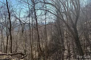 00 Brush Creek Rd, Bryson City, NC 28713 - Photo 15