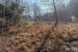 00 Brush Creek Rd, Bryson City, NC 28713 - Photo 17