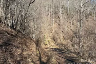 00 Brush Creek Rd, Bryson City, NC 28713 - Photo 19