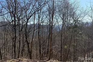 00 Brush Creek Rd, Bryson City, NC 28713 - Photo 11